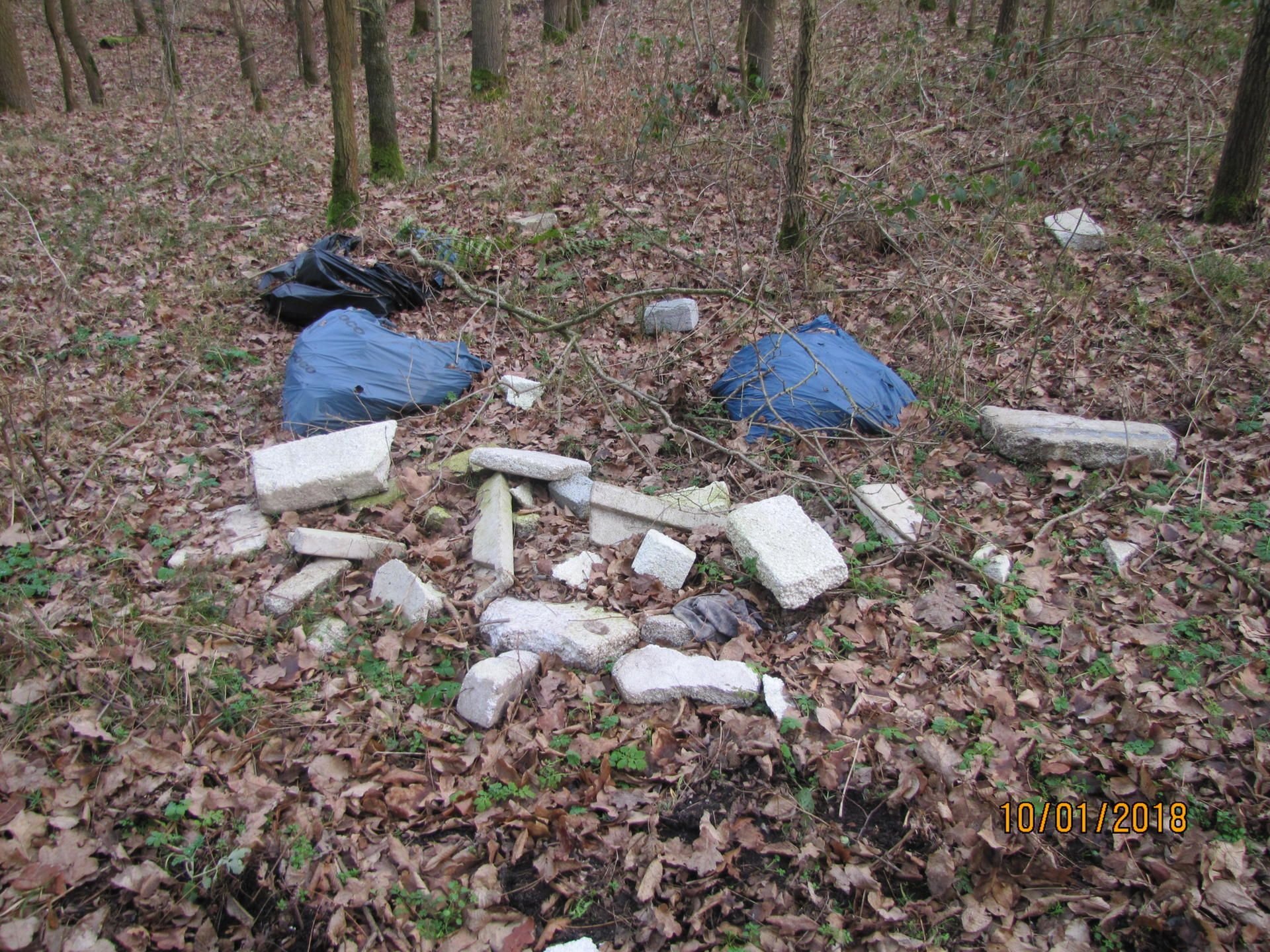 Erneut hat die Polizei Müll in einem Waldgebiet in Kleinkühnau entdeckt.