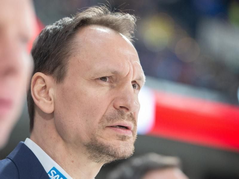 Die Adler Mannheim von Trainer Pavel Gross sind in der Deutschen-Eishockey-Liga auf Titelkurs. Foto: Timm Schamberger