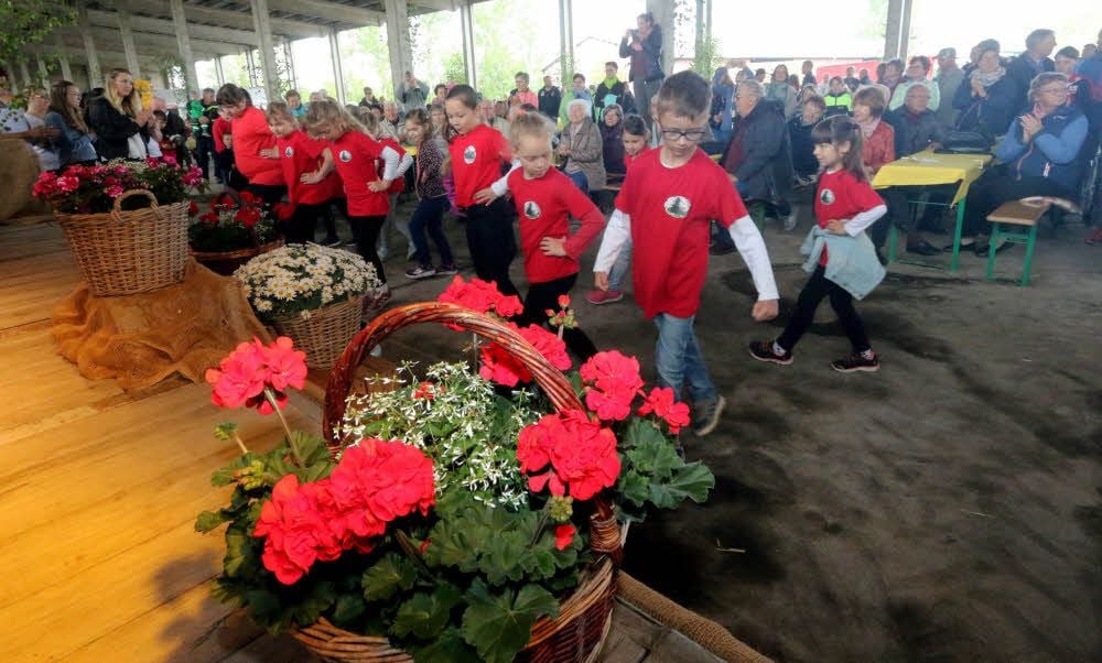 Die „Seydschen Rehkitze“, die Kindertanzgruppe des Heimatvereins, bereicherte das Programm zum Spargelfest und warb um Unterstützung beim Beschaffen neuer T-Shirts. Dafür wurden Button verkauft.