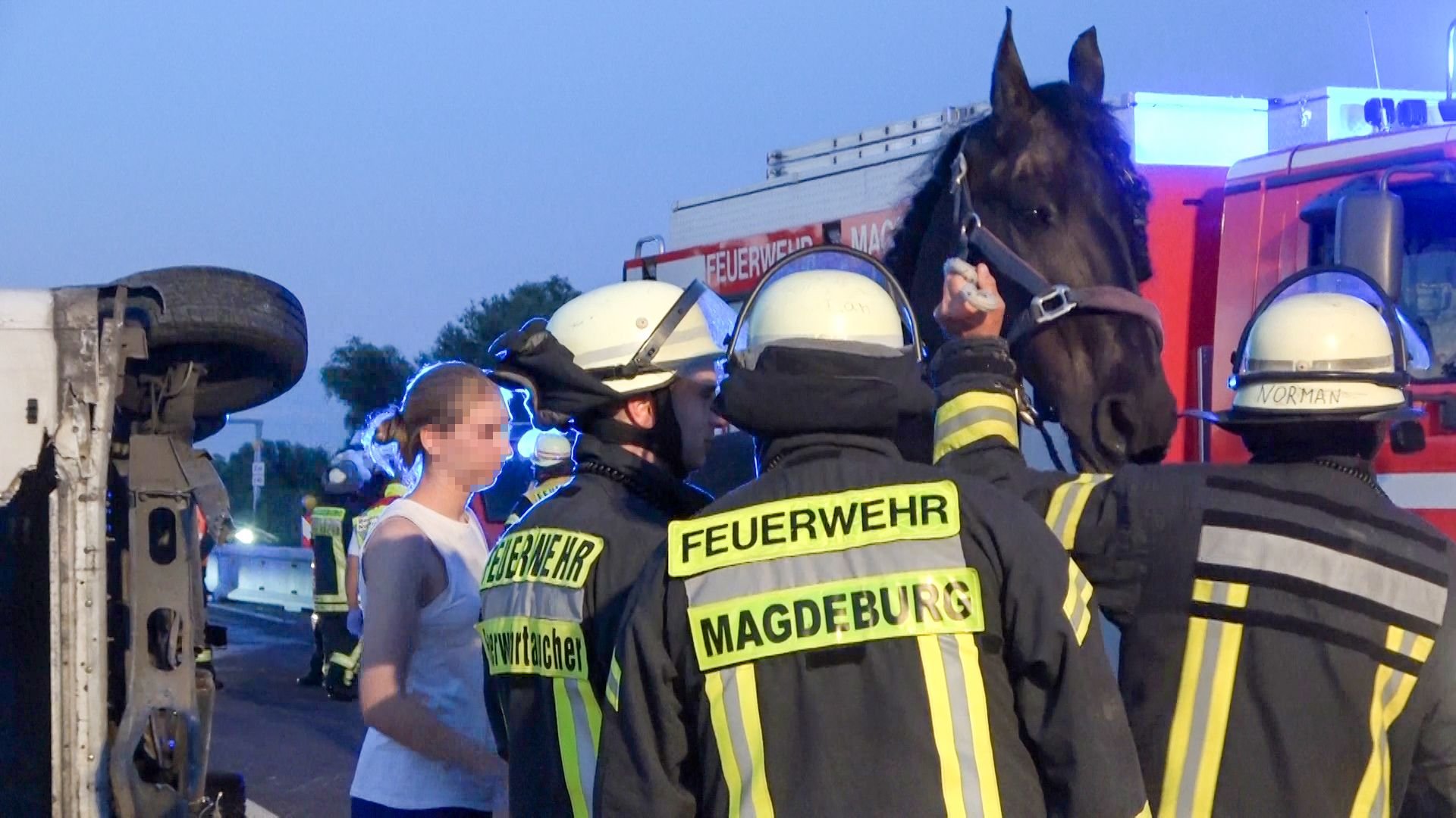 Auf der Autobahn 2 bei Magdeburg ist es am Donnerstagabend zu einem Unfall mit einem Pferdetransporter gekommen.