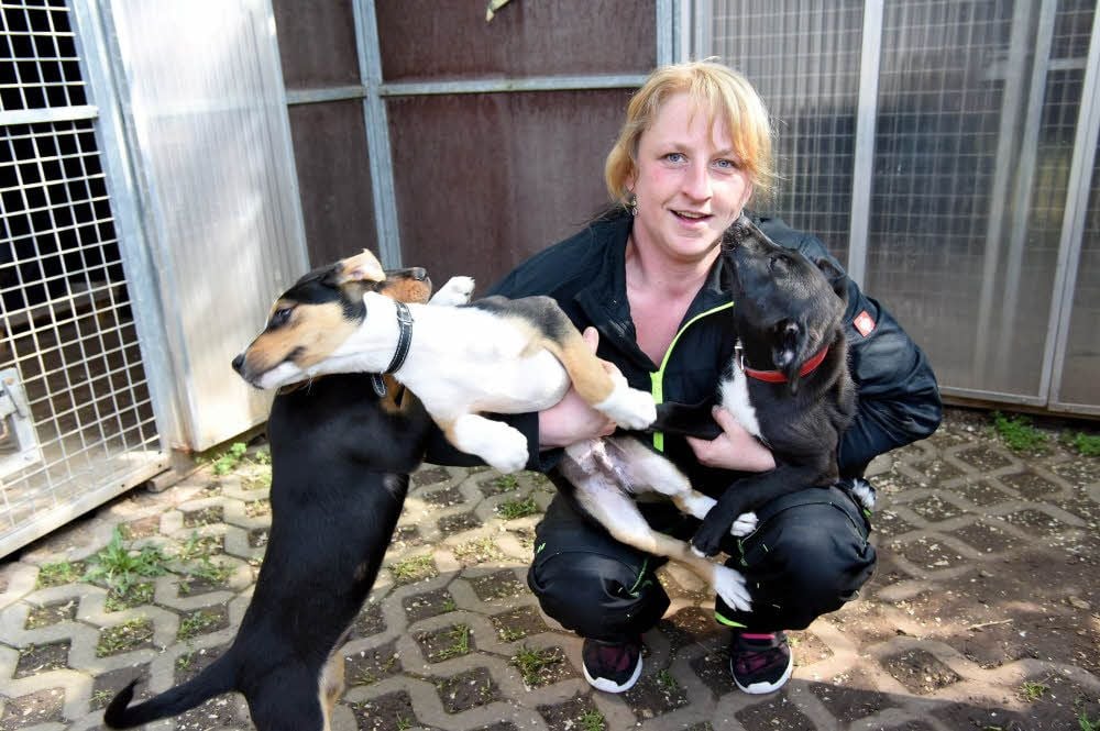 Nicht nur für die Vierbeiner wird sich im neuen Tierheim alles grundlegend ändern und verbessern. Auch für Helfer, wie Claudia Henschel.