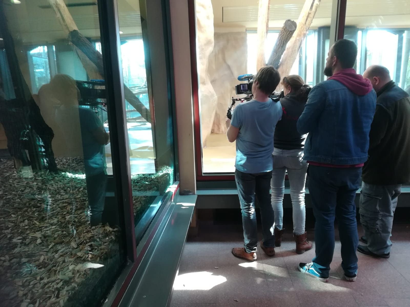 Warten auf Shiva im Zoo