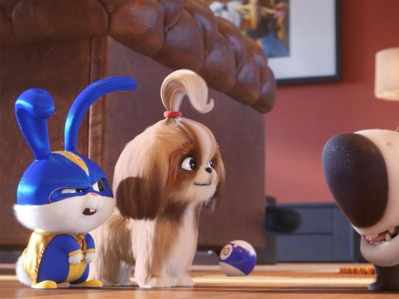 Snowball (l) versucht gemeinsam mit Daisy (M), einen Tiger aus dem Zirkus zu befreien. Foto: Illumination Entertainment And U/Universal Pictures