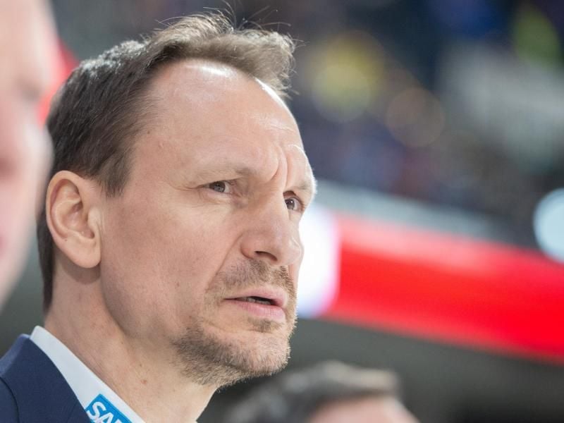 Hat seinen ersten DEL-Titel im Blick: Adler-Coach Pavel Gross. Foto: Timm Schamberger