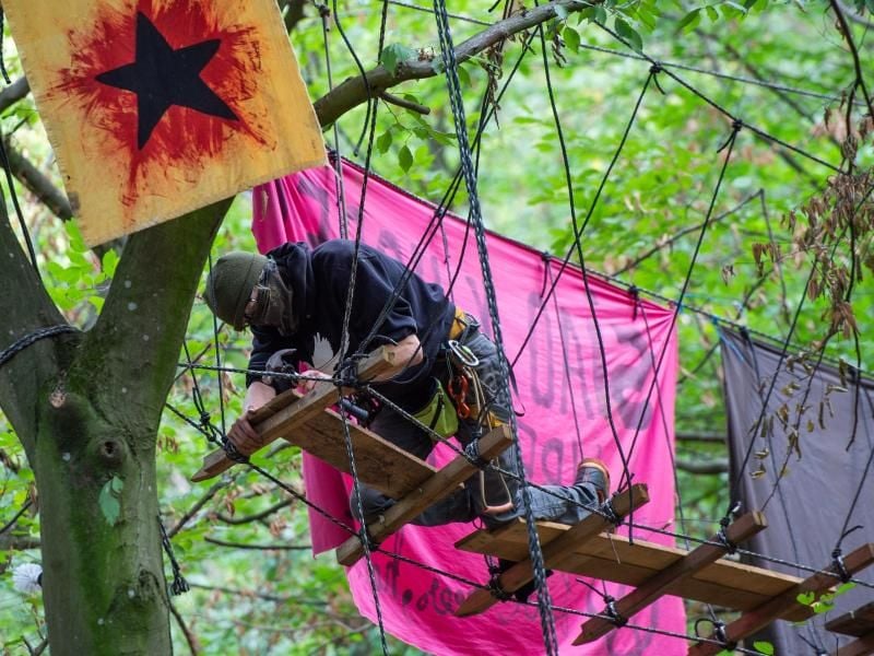 Seit 2012 ist der Hambacher Forst von Aktivisten besetzt. Foto: Christophe Gateau