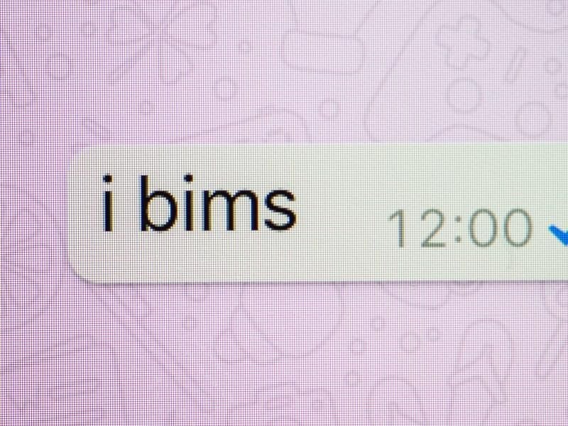 Ein Jugendwort, das man von Jugendlichen tatsächlich schon mal gehört hat: „i bims” in einem Chatfenster auf einem Handy. Foto: Lino Mirgeler