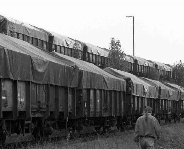 125 Waggons mit Rückständen aus der Kupferverhüttung warten an der Rohhütte bei Helbra auf die Entsorgung. Sie hatten zuvor jahrelang auf dem Güterbahnhof bei Hettstedt gestanden.