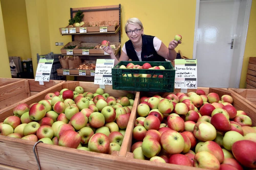 Sabine Hüttmann hält im Hofladen des Fruchthofes Wulfen in Kirchsteitz verschiedene frisch geerntete Apfelsorten bereit.