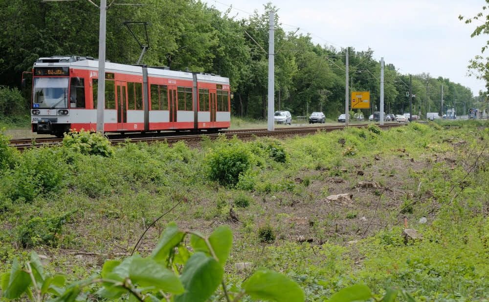 Westlich der Straßenbahntrasse wird am Gimritzer Damm in Richtung Rennbahnkreuz eine komplett neue Straße gebaut.