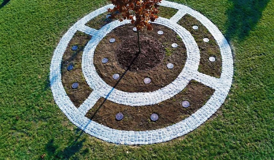 Baumgrab: Kreisförmig sind die 20 Urnen um eine Stieleiche auf dem Friedhof in Großörner angeordnet.