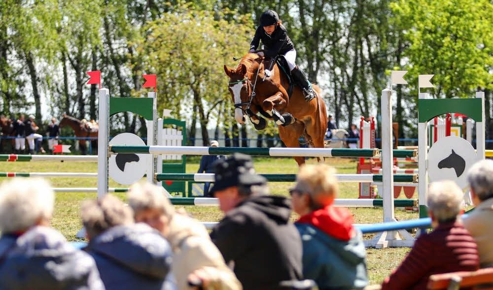 Johanna Westphal vom Brandenburger Hunting Club ist mit ihrem Pferd Pepper unterwegs. Mit zwei Fehlern ist leider kein Spitzenplatz drin.