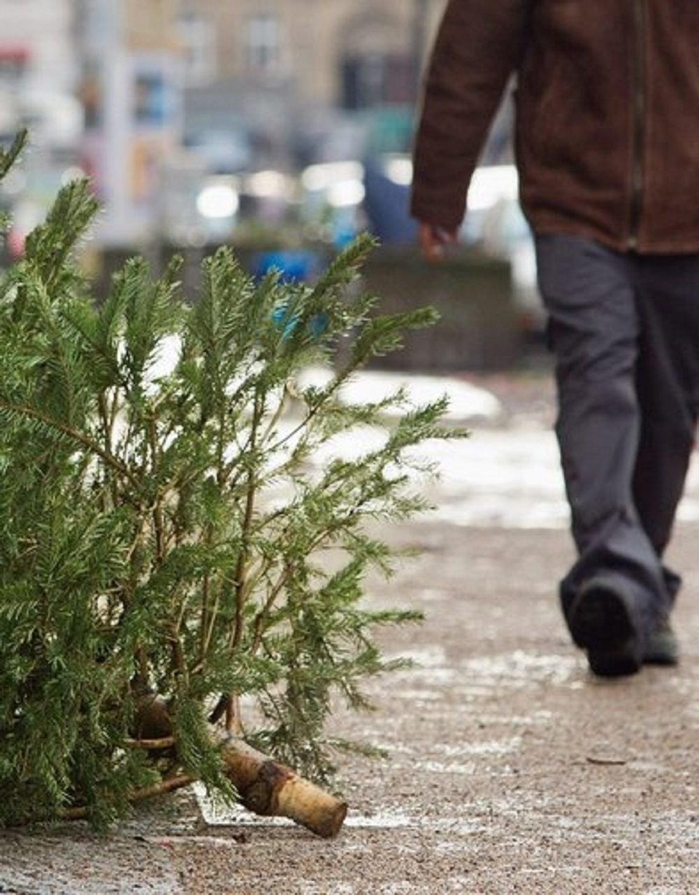 Ein Weihnachtsbaum liegt auf einem Gehsteig.