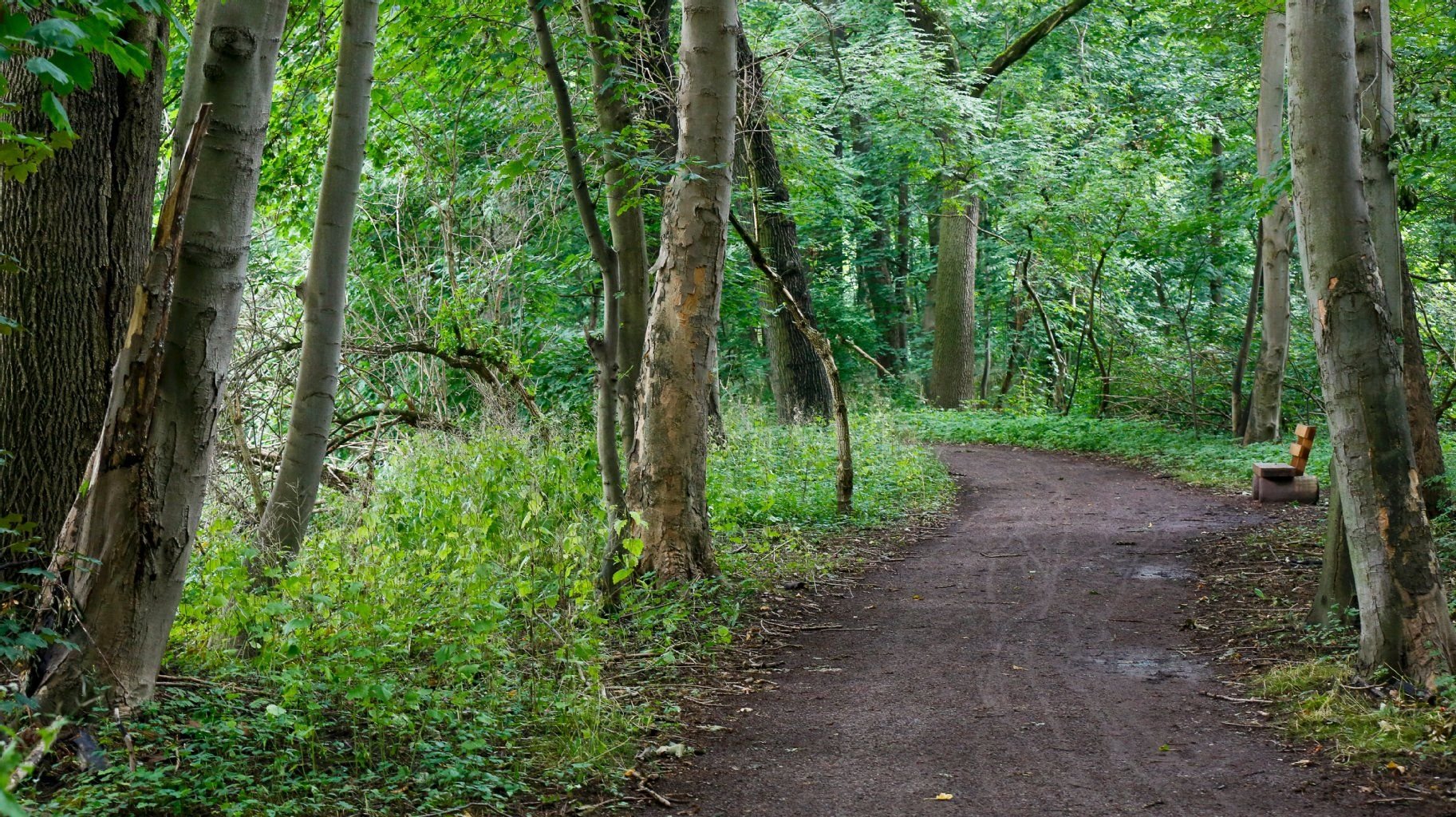 Auf der Rabeninsel in Halle ist eine Joggerin sexuell belästigt worden. (Archivbild)