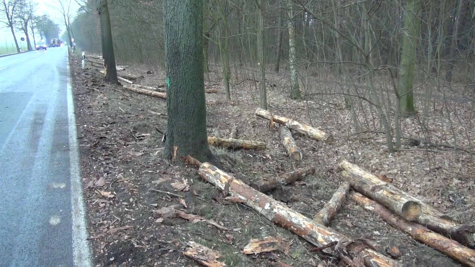 Der Fahrer hatte eine komplette Ladung Holz verloren.