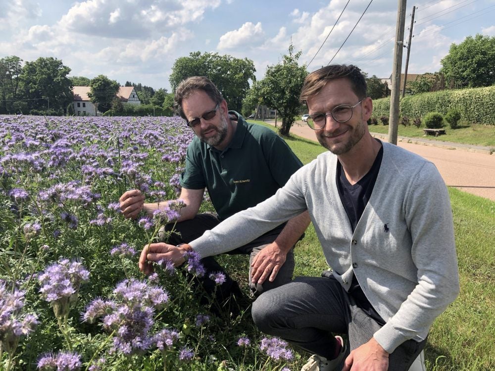 Vor dem Blühstreifen: Landwirt Sven Krienitz (l.) und Nico Thurian.
