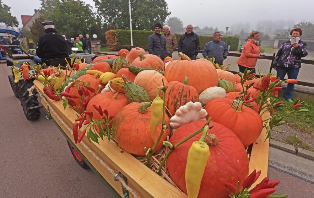 Kürbisse - ein Sinnbild für den Herbst und den Erntedank.