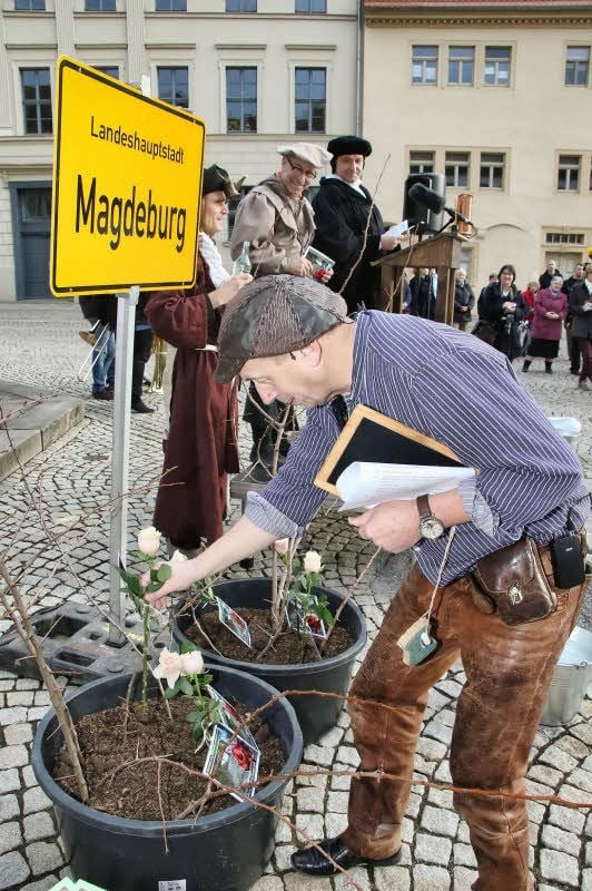 Neue Thesen wurden an Rosen gebunden.