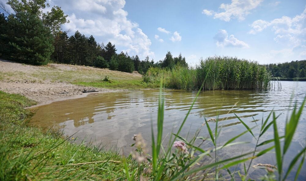 In solchen Uferbereichen können Zerkarien lauern. Bislang sind vor Ort aber keine Fälle bekannt - auch nicht im „Blauen Auge“ bei Burgkemnitz.