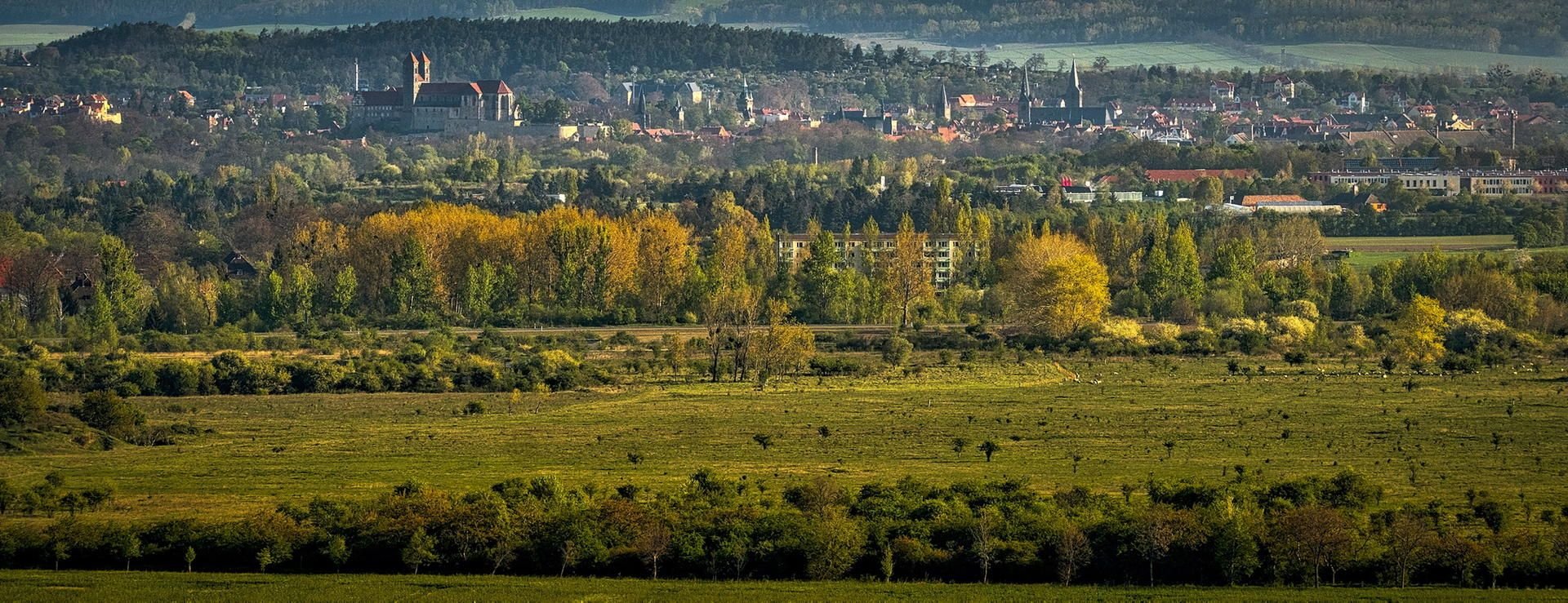 Blick auf das geplante Industriegebiet bei Quarmbeck