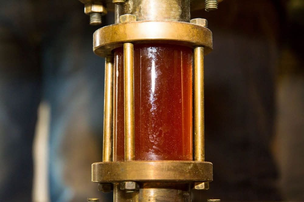 Bereits erkennbar: die fuchsrote Farbe.
