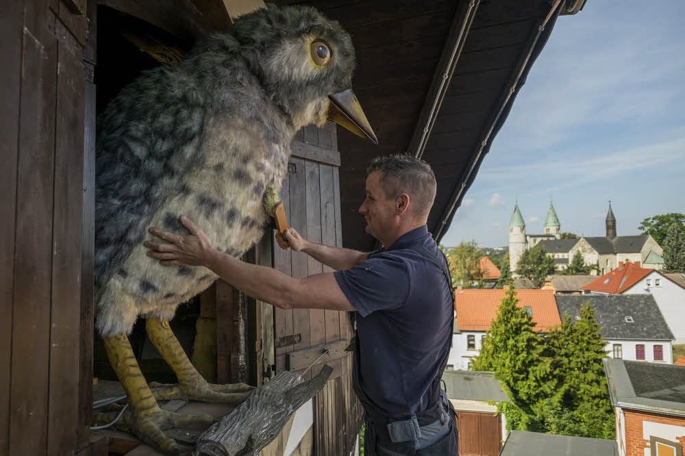 Der große Kuckuck wurde wieder gangbar gemacht und wird hier vom neuen Inhaber Christian Bertram noch einmal gründlich entstaubt.
