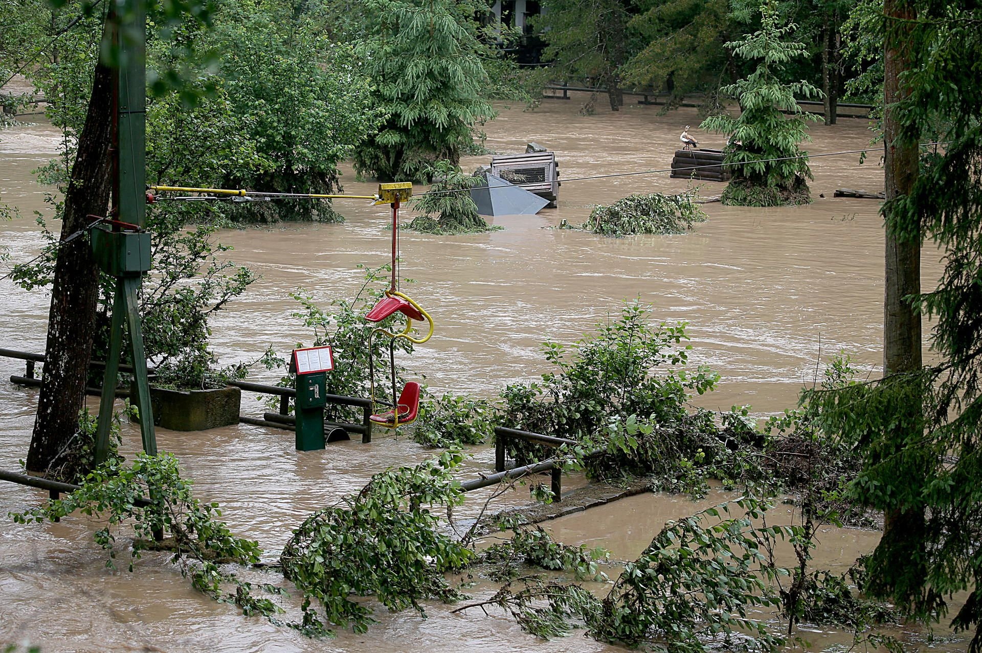 Die Prüm fließt nach heftigen Regenfällen durch den Eifel-Zoo Tierpark Neu-Bierbach.