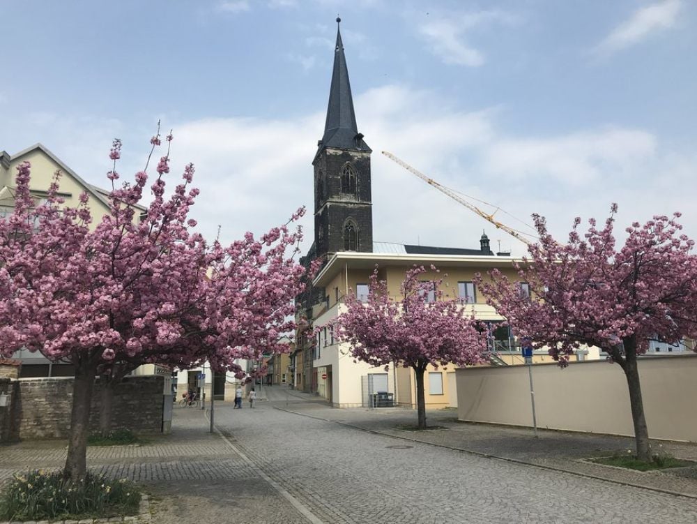 St. Stephani