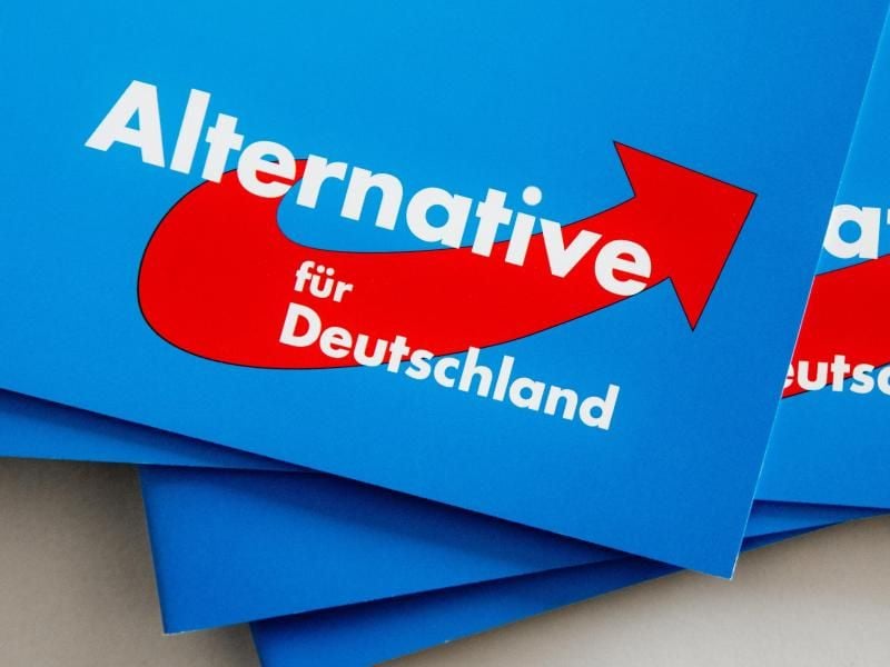Das Logo der Alternative für Deutschland (AfD) auf Parteibroschüren. Foto: Markus Scholz/Archivbild
