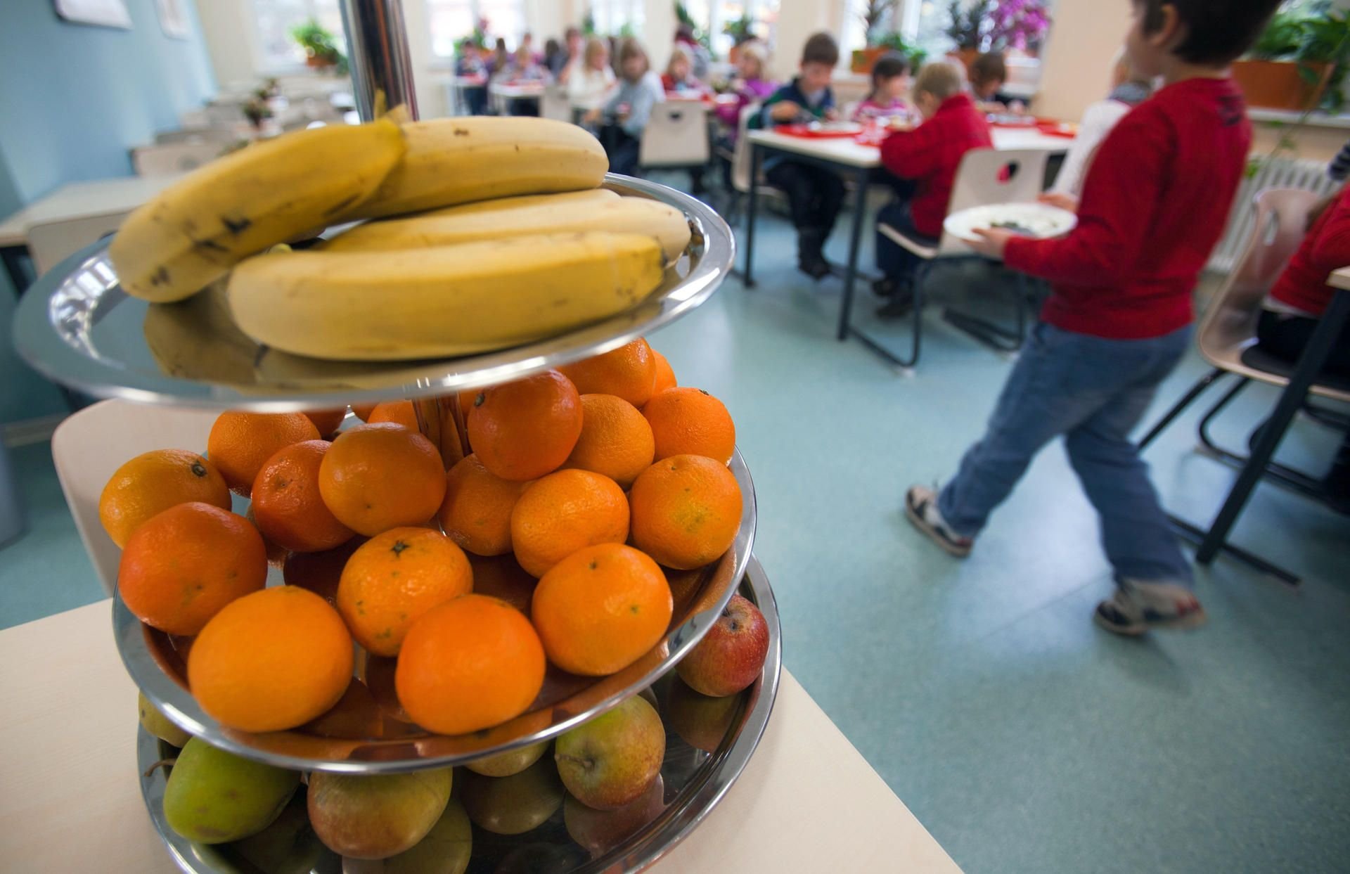 Was essen Kinder in Kita und Schule eigentlich zwischen den Hauptmahlzeiten? Fachfrauen wollen sich das mal genau ansehen und gesunde Alternativen erproben.