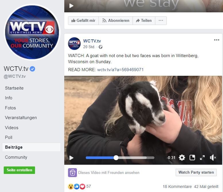 Der örtliche TV-Sender berichtet über die Geburt des zweiköpfigen Ziegenbocks.