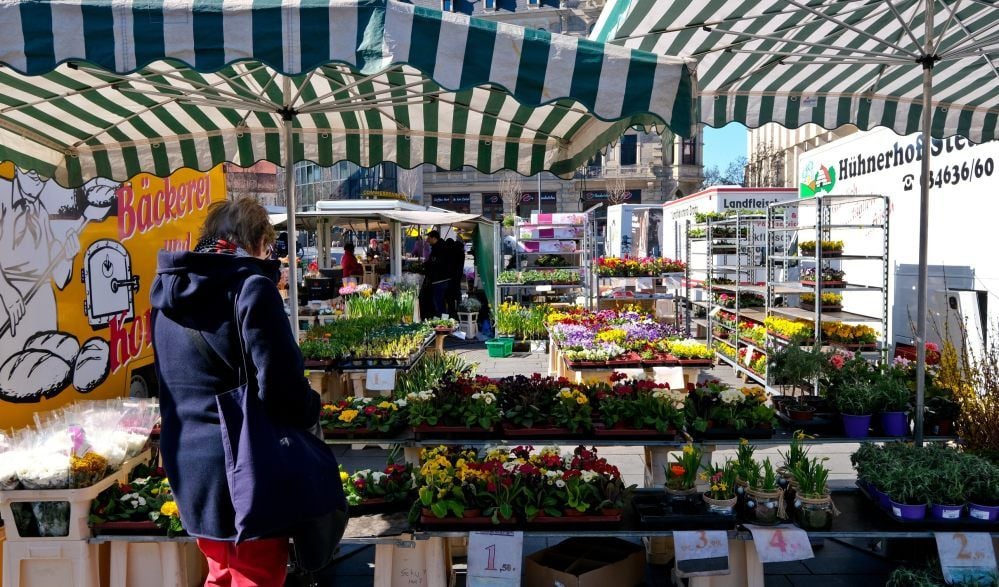 Einen Hauch Frühling auf Halles Markt verströmen die Auslagen am Blumenstand.