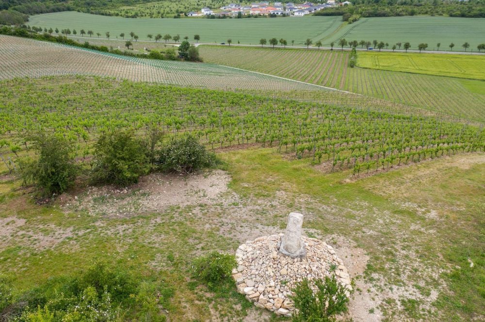 Noch steht es, das Wein-Denkmal auf dem Köppelberg zwischen Schulpforte und Bad Kösen. Die Weinbruderschaft Saale-Unstrut muss es wieder abreißen, da der Bau vor drei Monaten auf dem denkmalgeschützten Gelände nicht genehmigt war. Diese Woche soll das passieren.