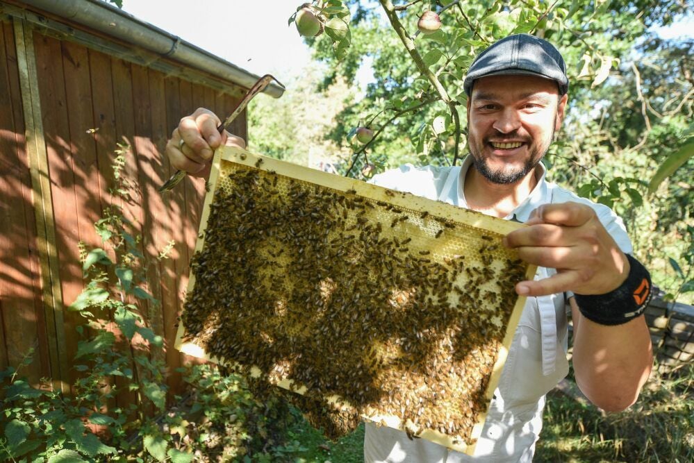 Robert Brix zeigt eine Mittelwand voller Waben aus einem der Bienenstöcke.