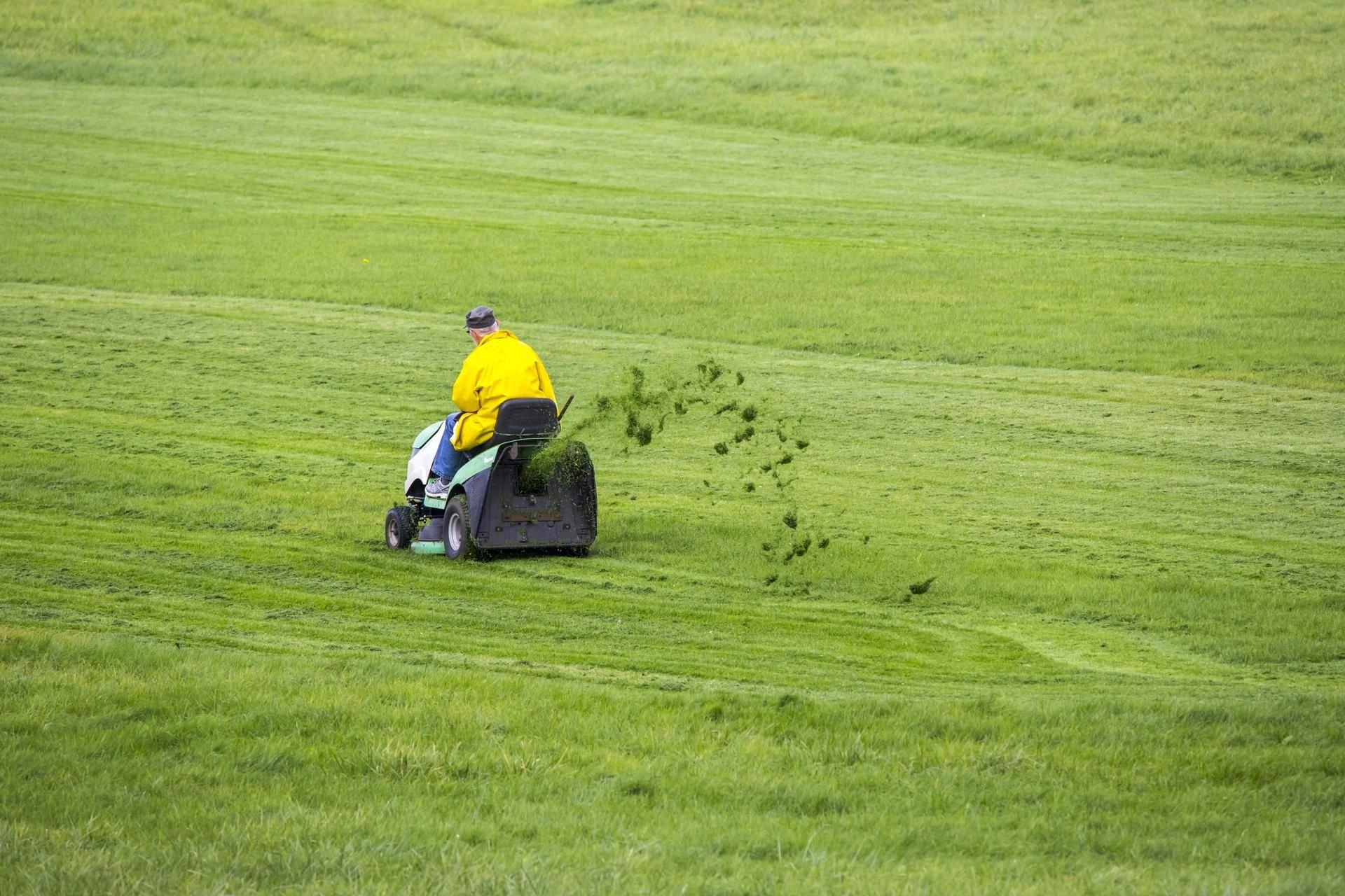Der Bürgermeister der Gemeinde Elsteraue möchte einen Rasentraktor kaufen. (Symbolbild)