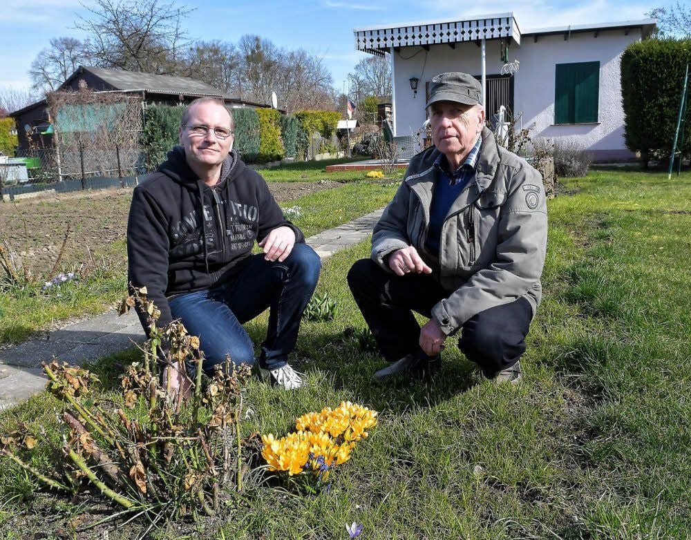 Der Vereinsvorsitzender Jürgen Naumann (r.) und Gartenfreund Lars Treml bewundern die Krokusse.