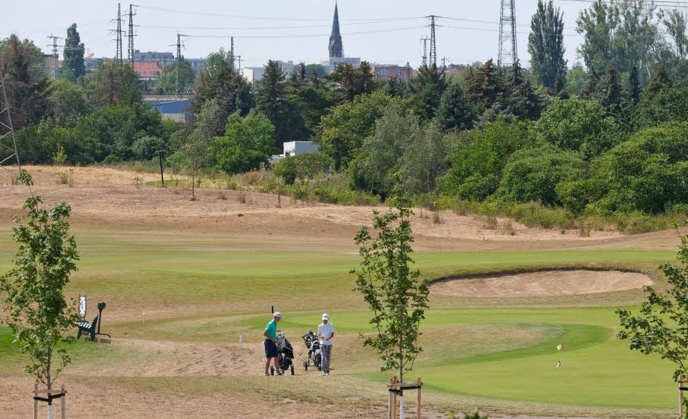 Nur die Spielflächen auf dem Golfplatz sind noch grün. Drumherum ist der Rasen durch die Dürre bereits braun.