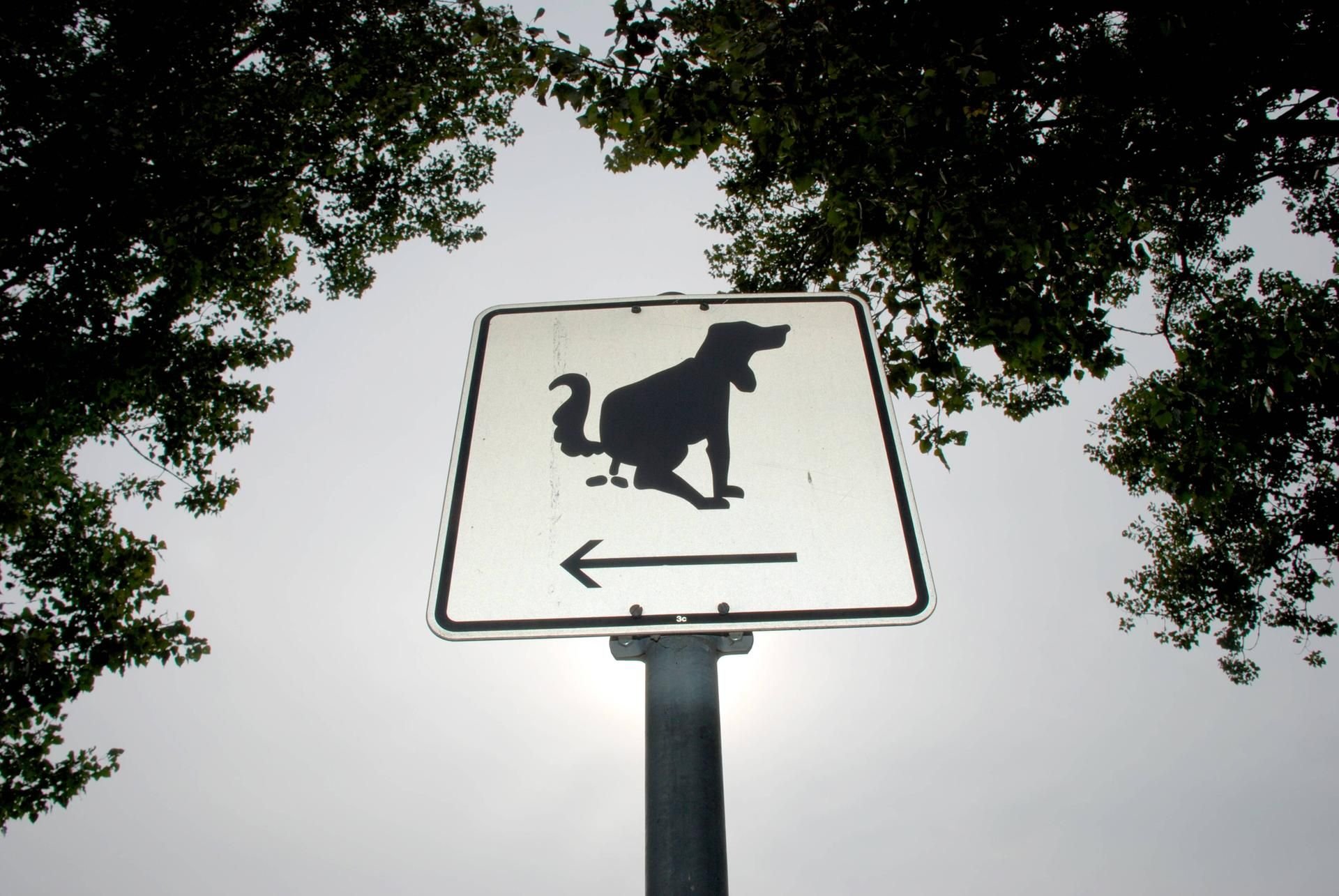 Die größte Hundewiese der Stadt wird Anfang September in Halle-Neustadt eröffnet.