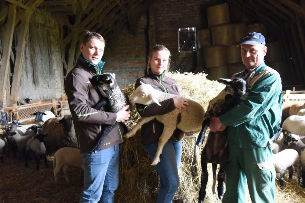 Die Schafherde des Agrarbetriebs Droßdorf hat Zuwachs bekommen. Geschäftsführer Julius Müller und dessen Schwester Henriette Müller mit Schäfer Ralf Engel (v.l.) präsentieren die Osterlämmer im Stall bei Bergisdorf.