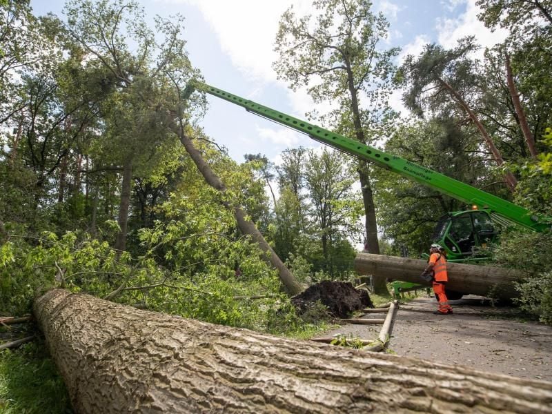Ein Fachbetrieb für Baumpflege beseitigt Bäume, die durch ein Unwetter auf die Straße gefallen sind. Foto: Daniel Karmann