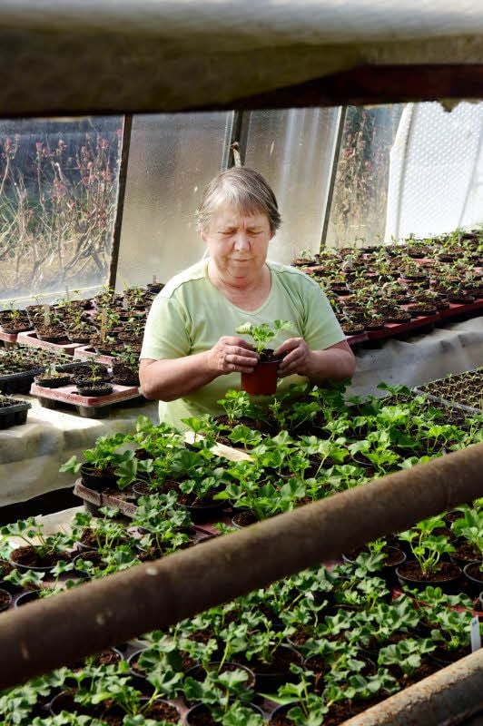 Karin Stäuber bei der Arbeit