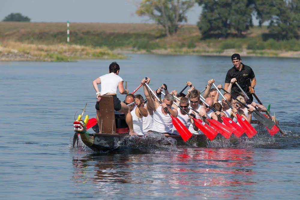 Beim Drachenbootrennen der Wasserwanderfreunde Prettin hatte jedes Team auf der Elbe 200 Meter gegen den Strom mehrfach zu bewältigen.