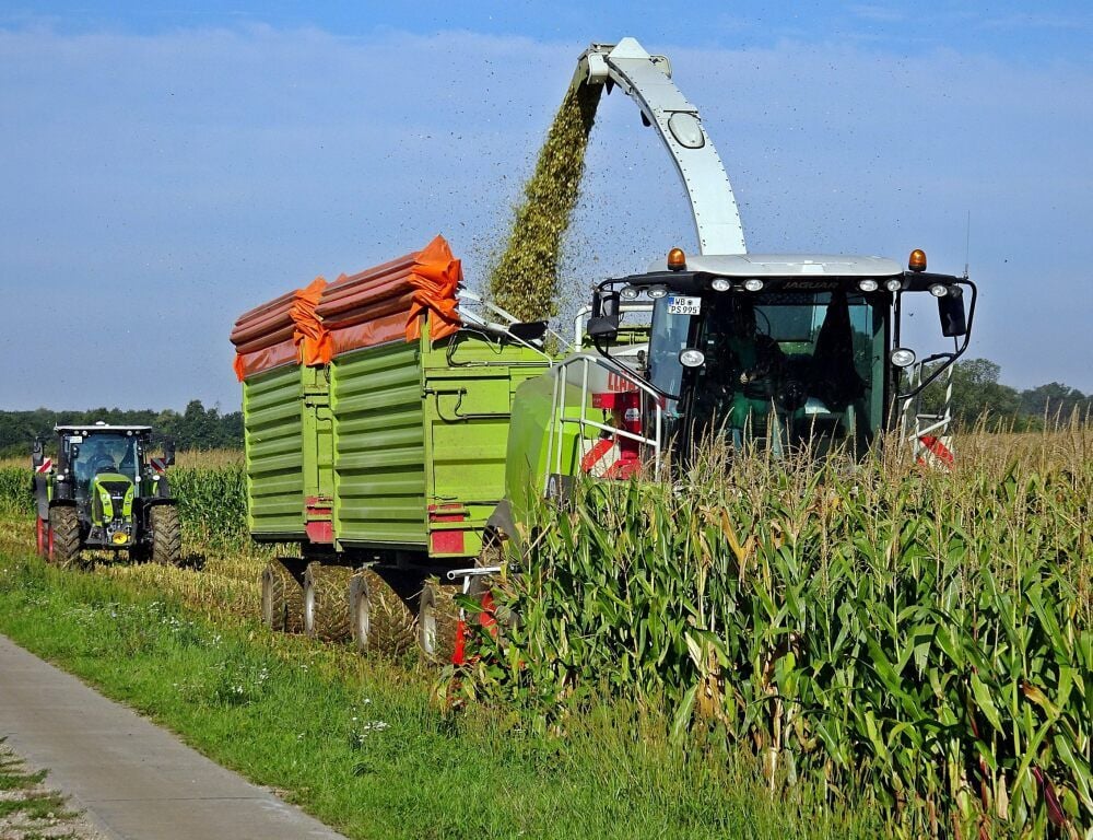 Während der Maisernte wurde ein Häcksler zerstört.