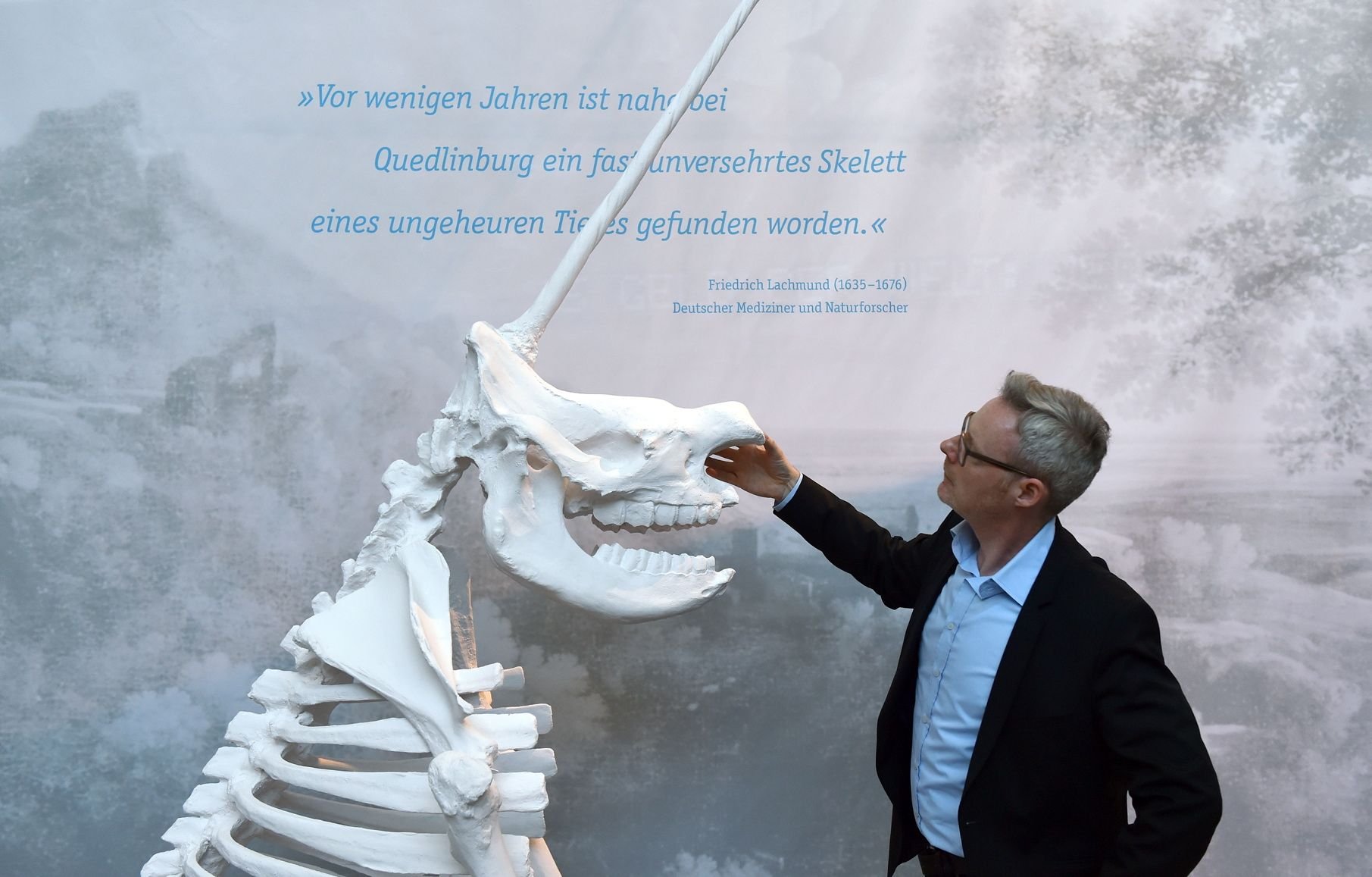 Museumsdirektor Josef Mühlenbrock steht in Herne (NRW) neben der dreidimensionalen Rekonstruktion des „Quedlinburger Einhorns”.