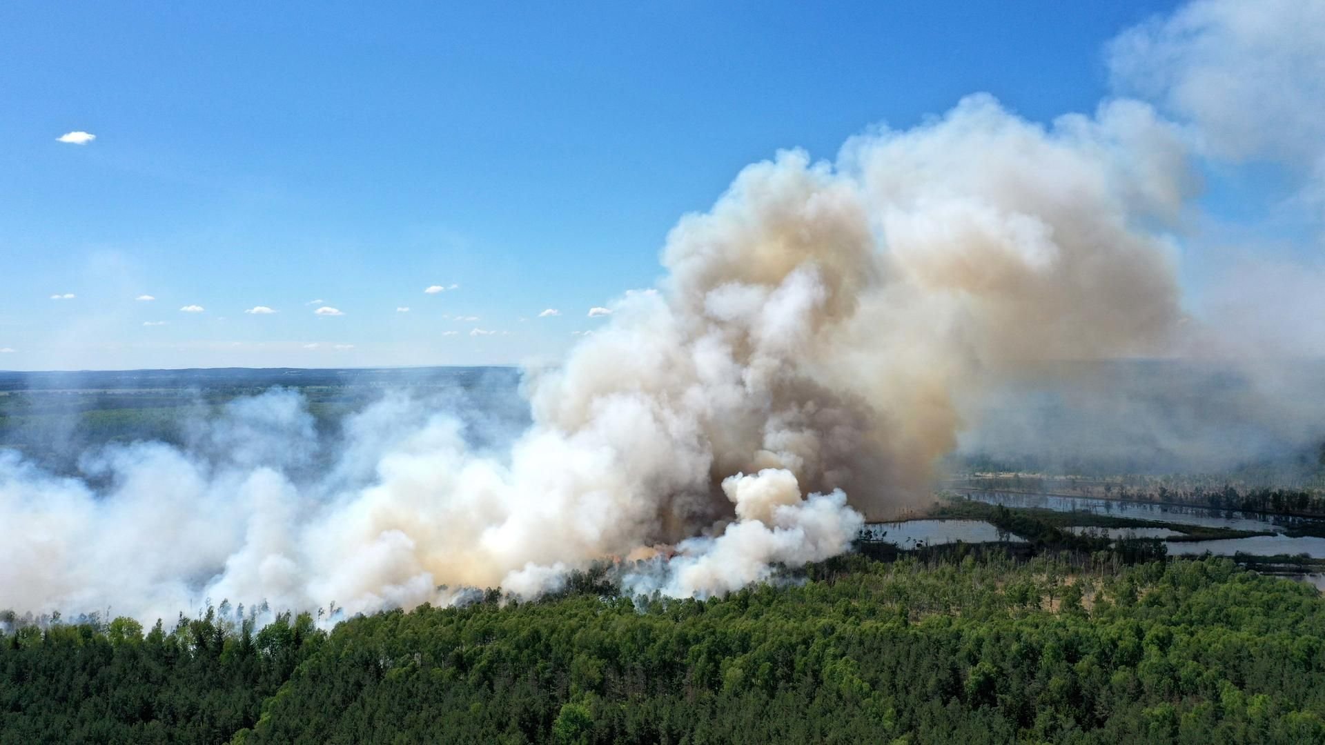 Blick auf eine Rauchwolke während eines Waldbrandes im Loben-Moor