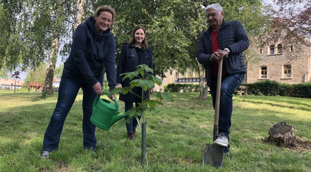 Schulbauernhof Othal: Nadine Janzen vom Schulbauernhof, Projektleiterin Mandy Werner von „Natur zum Anfassen“ und Vereinschef Ralf Koch an der neuen Kastanie.