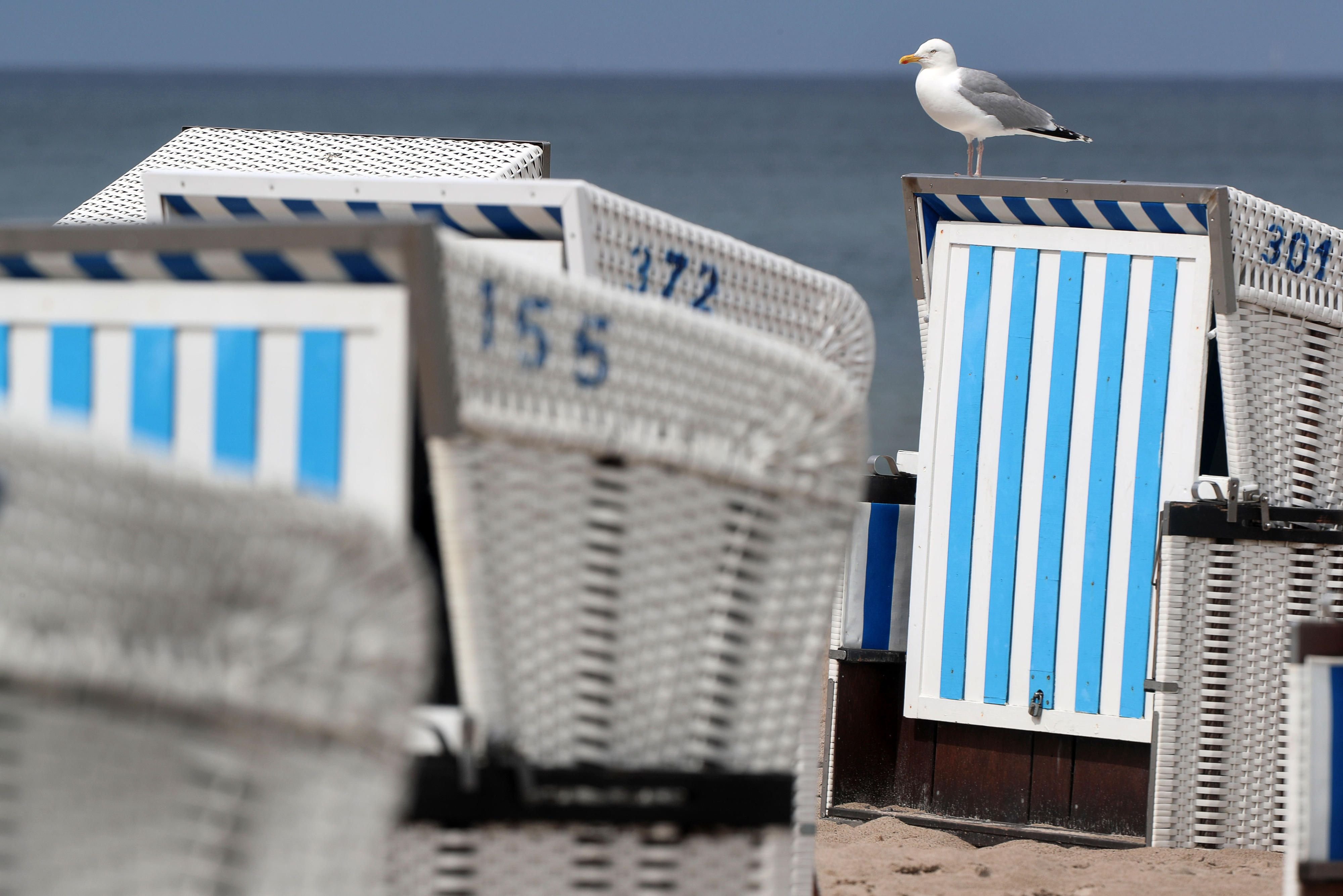 Strandkörbe stehen an einem Ort an der Ostsee.