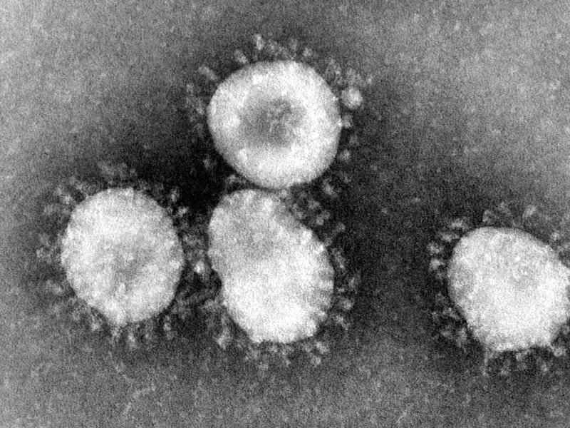Ein Coronavirus unter dem Mikroskop. Foto: Center for Disease Control/epa/dpa/Archivbild