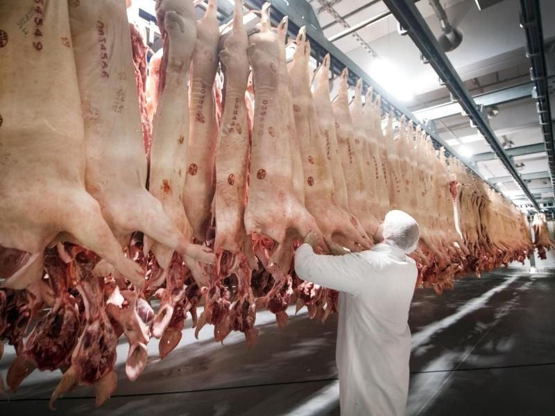 Frisch geschlachtete Schweine in einem Kühlhaus: Das „Tierwohllabel” soll bis 2020/2021 in die Supermärkte kommen. Foto: Bernd Thissen