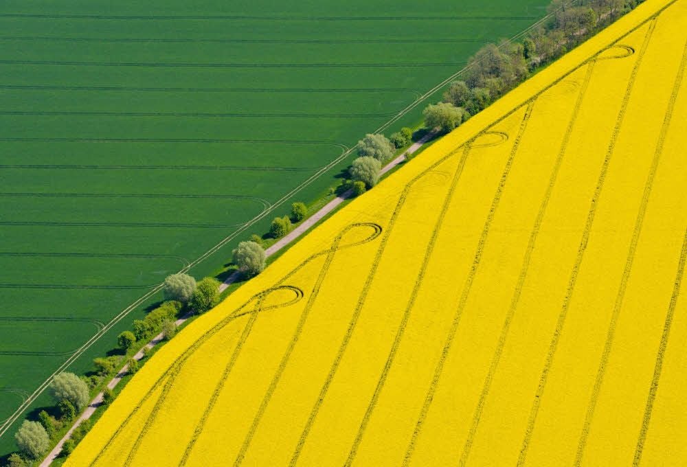 In Sachsen-Anhalt wird das Ackerland immer teurer.