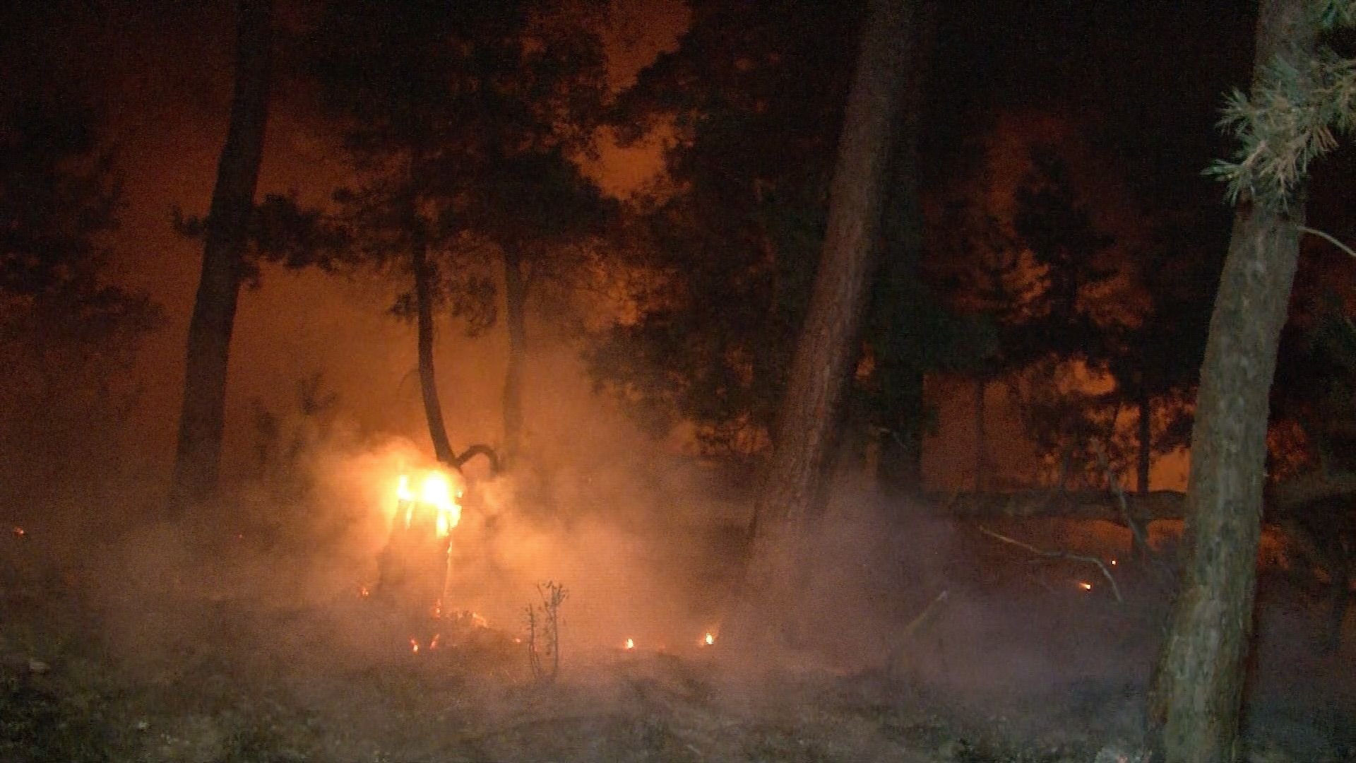 Waldbrand bei Langenstein